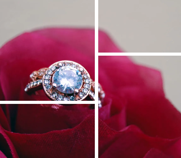 Diamond ring on a red rose.